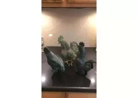 Roosters of all kinds